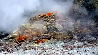 Campi Flegrei SUPERVOLCANO  Solfatara di Pozzuoli amp Fumarole Pisciarelli Italia Naples [upl. by Latsryc]