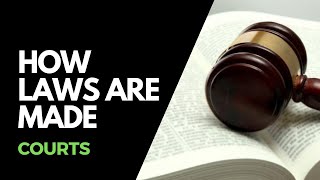 How laws are made  Courts [upl. by Alaine406]