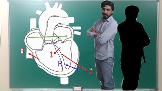 FISIOLOGÍA CARDIACA  ECG 105 VECTORES CARDIACOS [upl. by Chita]