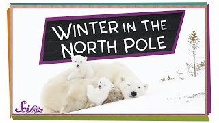 Winter at the North Pole  Winter Science  SciShow Kids [upl. by Aitnahs126]