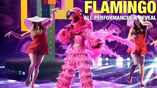 The Masked Singer Flamingo All Clues Performances amp Reveal [upl. by Ahsenahs867]