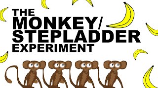 THE MONKEYSTEPLADDER EXPERIMENT [upl. by Enneira]