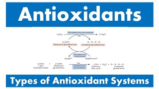 Antioxidants and Types of antioxidant systems [upl. by Ynohta]