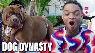 Swae Lee Battles Hulk In Miami  DOG DYNASTY [upl. by Acirretal474]