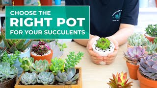 SUCCULENT BEGINNER TIPS WHY POT SIZE AND POT MATERIAL ARE IMPORTANT IN GROWING SUCCULENTS [upl. by Phillie]