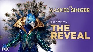 The Peacock Is Revealed  Season 1 Ep 10  THE MASKED SINGER [upl. by Aylmer406]