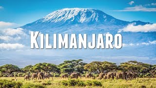 CLIMBING MOUNT KILIMANJARO [upl. by Hayyifas]