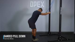 Banded Pulldown  OPEX Exercise Library [upl. by Brigg]