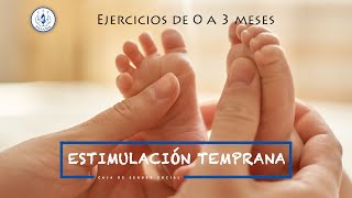 Estimulación Temprana de 0 a 3 meses [upl. by Nyvar49]