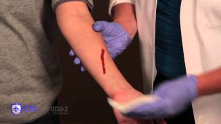 How to Stop Bleeding and Apply Bandages [upl. by Sansbury31]