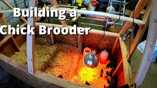 Homemade Chicken Brooder Build  Holds Over 100 Chicks [upl. by Martinic]