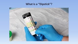 Interpretation of the Urinalysis Part 2  The Dipstick [upl. by Sidnarb]