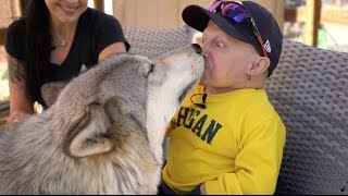 I KISSED A WOLF  Verne Troyer [upl. by Narmis531]