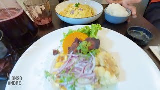 Probando comida peruana en Francia  París [upl. by Atoiyanap]