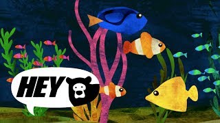 Hey Bear Sensory  Aquarium  Relaxing classical music  Soothing Sleep Video [upl. by Anayet325]