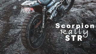 Pirelli Scorpion Rally STR Long Term Review  IN DEPTH [upl. by Millian]