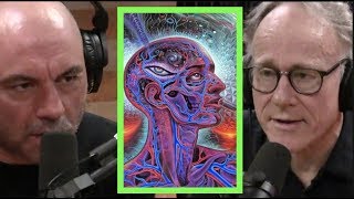 Joe Rogan  Ayahuasca is Amazonian Science wGraham Hancock [upl. by Maryanna901]