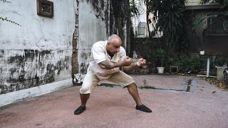 Rare and Ancient Tai Chi Monkeyfist Sequence [upl. by Hajed315]