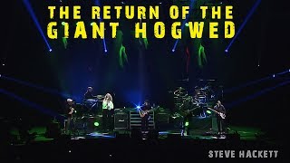 Steve Hackett  The Return of The Giant Hogweed Live at The Royal Albert Hall [upl. by Tserof]