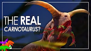 Carnotaurus Fossil Discoveries [upl. by Aisatnaf]