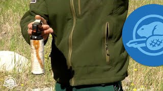 How to Use Bear Spray  Banff National Park [upl. by Auqeenwahs]