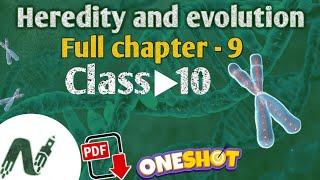 Heredity and evolution class 10 full chapter  class10 science  NCERT CBSE [upl. by Ia630]