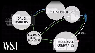 How Drug Prices Work  WSJ [upl. by Esiuqcaj]