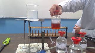 Testing Alcohols by Oxidation [upl. by Leelah]