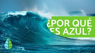 Por qué el MAR es AZUL 🌅 CURIOSIDADES sobre el MAR [upl. by Hesky]