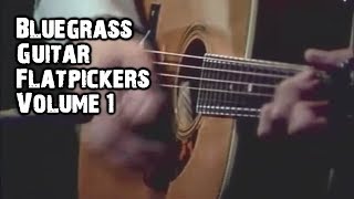 Professional Bluegrass Guitar Flatpickers Compilation 1 [upl. by Scharf]