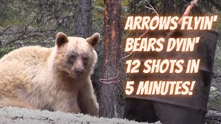 Arrows Flyin Bears Dyin  12 Bear Hunting shots in 5 minutes [upl. by Bedelia]