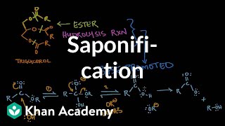 Saponification  Base promoted ester hydrolysis  MCAT  Khan Academy [upl. by Larrabee118]