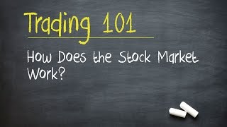 Trading 101 How Does the Stock Market Work [upl. by Reste]