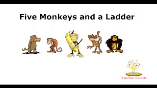 Five Monkeys and a Ladder [upl. by Patten]