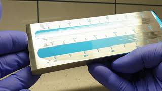 Fineness of dispersion ASTM D1210 Paint Testing [upl. by Irehs]