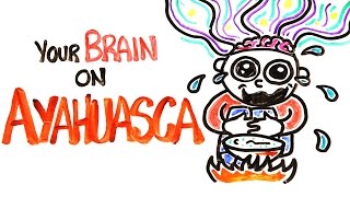 Your Brain On Ayahuasca The Hallucinogenic Drug [upl. by Austreng318]