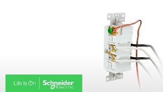 Square D Wiring Devices Inserting the Wire in Pressure Plate amp Screwing Down  Schneider Electric [upl. by Dianthe]