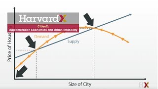 Agglomeration Economies and Urban Instability [upl. by Dud]