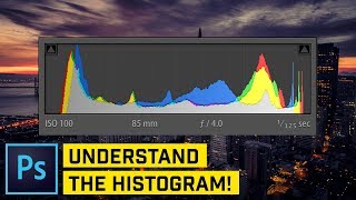 Understand the Histogram VERY IMPORTANT [upl. by Neenaej]