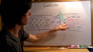 Combustor  Explained [upl. by Asiar]