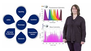 Mass Cytometry Introduction  Susanne Heck NIHR BRC [upl. by Hussein641]