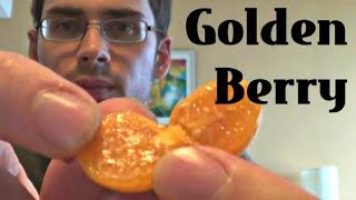 Goldenberry Review  Weird Fruit Explorer  Episode 16 [upl. by Anahpets]