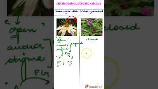 Chasmogamous vs Cleistogamous flowers [upl. by Yeniffit650]