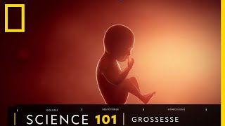 Tout comprendre sur  la grossesse [upl. by Erusaert]