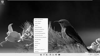 How To Turn Off Grayscale On Windows 11 Tutorial [upl. by Hump484]