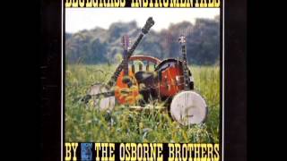 Bluegrass Instrumentals 1962  The Osborne Brothers [upl. by Osnerol365]