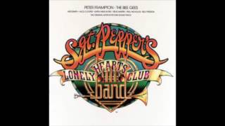 Sgt Peppers Lonely Hearts Club Band Soundtrack 1976 [upl. by Heather]