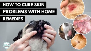 How To treat 5 Skin infection in dogs 🐕 with home remedies [upl. by Opportina]