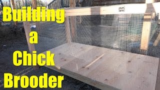 Building a Chick Brooder [upl. by Jaella]