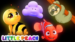 Baby Sensory  Animals and Clouds Party  Fun animation with music [upl. by Madriene463]